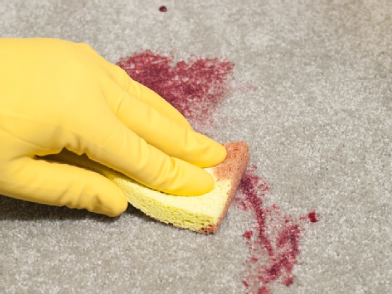 Carpet Cleaning Tips