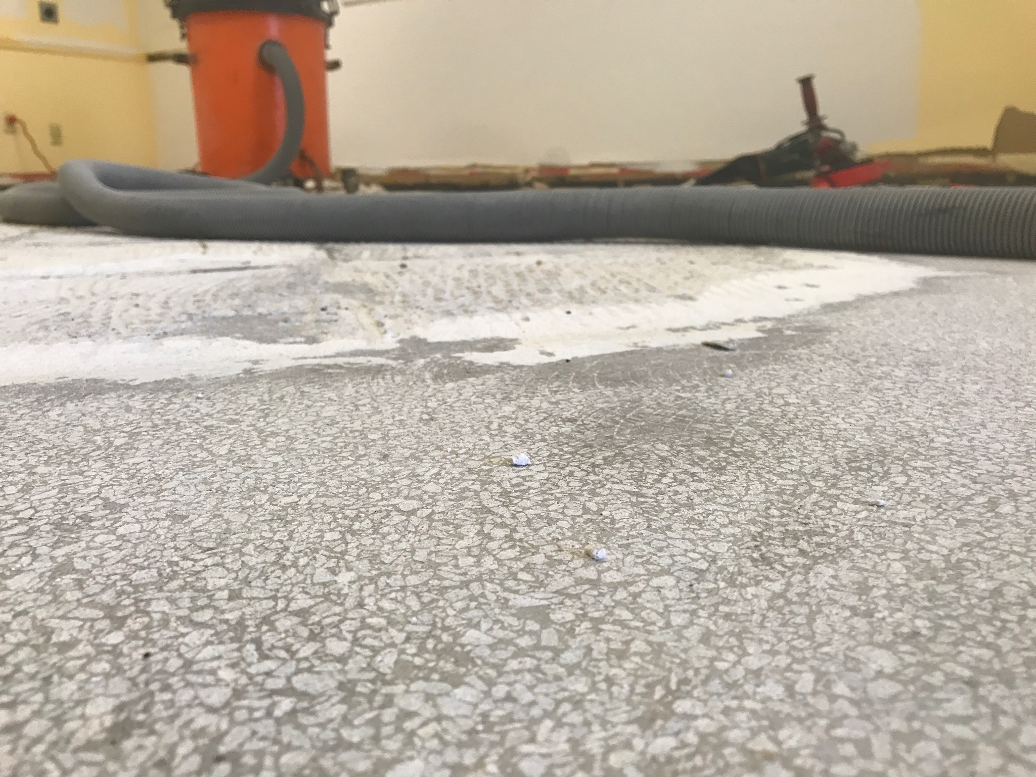 Diary of a Virtually Dustless Floor Removal | Speedy Floor Removal