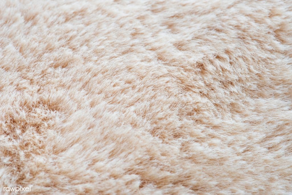 closeup of cream colored carpet